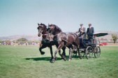 Enlarge photo 41