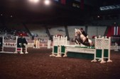 Enlarge photo 16