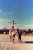 Enlarge photo 13