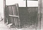 Enlarge photo 43