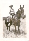 CatchPen - Horses