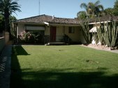 Enlarge photo 66