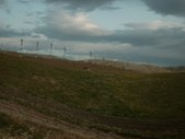 Enlarge photo 68