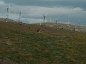 Enlarge photo 69