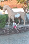 Enlarge photo 28