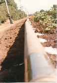 Enlarge photo 39