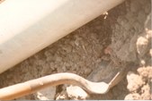 Enlarge photo 41