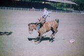 Enlarge photo 39
