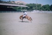 Enlarge photo 40