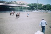 Enlarge photo 41