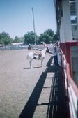 Enlarge photo 45