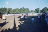 Enlarge photo 54