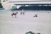 Enlarge photo 44