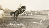Rodeo