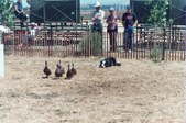 Enlarge photo 27