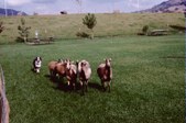 Enlarge photo 34