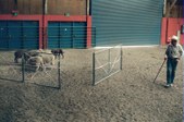 Enlarge photo 16