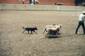 Enlarge photo 14
