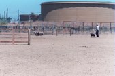 Enlarge photo 32