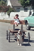 Enlarge photo 42