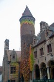 Enlarge photo 80