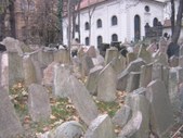 Enlarge photo 56