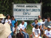 Fortaleza - In the Forest