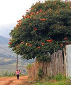 Enlarge photo 46