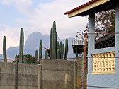 Enlarge photo 15