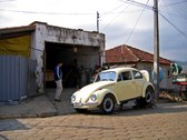 Enlarge photo 42