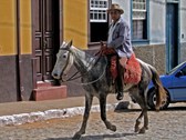 Enlarge photo 25