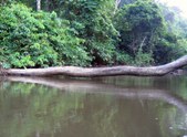 Enlarge photo 25