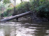 Enlarge photo 26