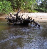 Enlarge photo 27