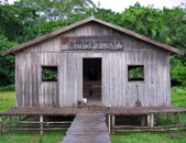 Enlarge photo 59