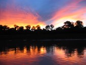 Enlarge photo 52