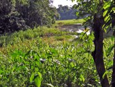 Enlarge photo 69