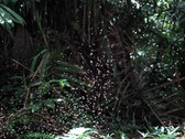 Enlarge photo 117