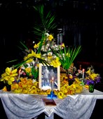 Enlarge photo 124