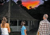 Enlarge photo 120