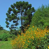 Enlarge photo 30