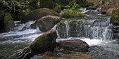 Enlarge photo 27