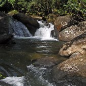Enlarge photo 28