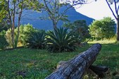 Enlarge photo 32