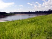 Enlarge photo 156