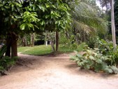 Enlarge photo 30