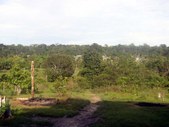 Enlarge photo 43