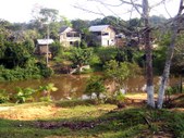 Enlarge photo 63