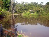 Enlarge photo 65