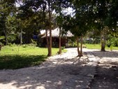Enlarge photo 92